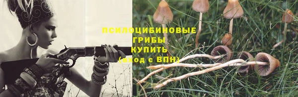 MDMA Бородино